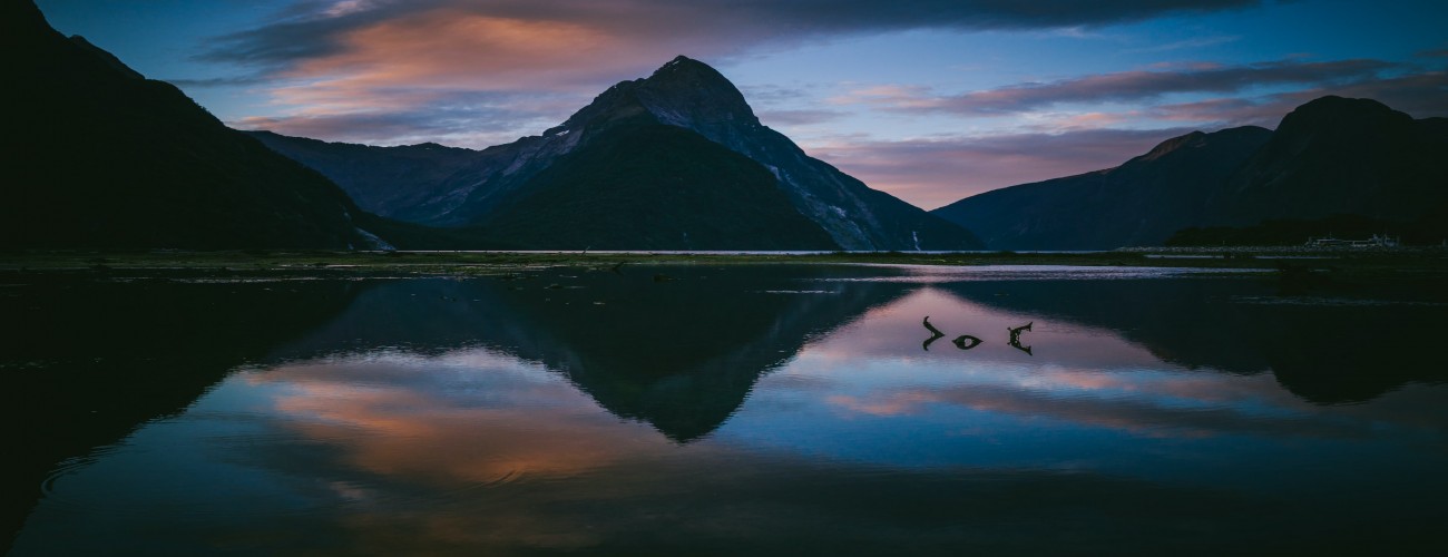 Milford Sound Accommodation