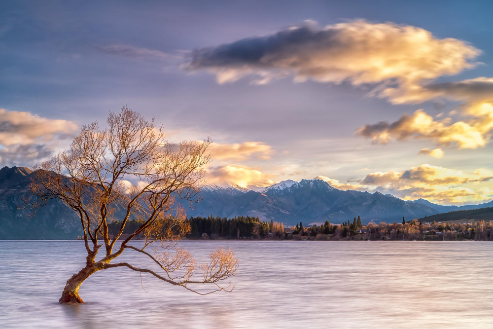 Day Trips from Wanaka: Exploring the Surrounding Wonders