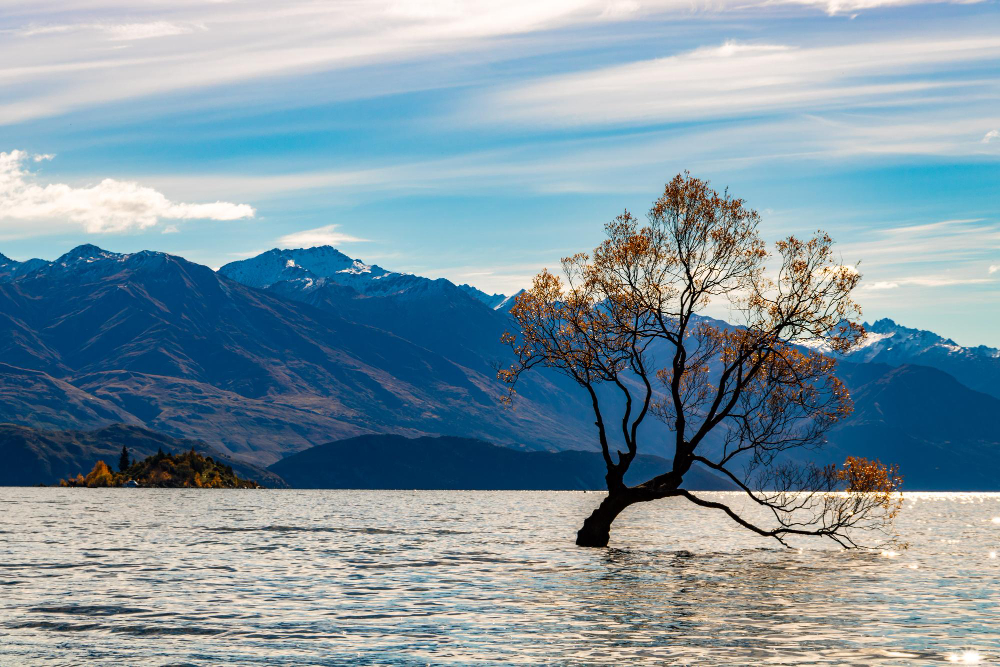 Family Fun in Wanaka: Activities for All Ages