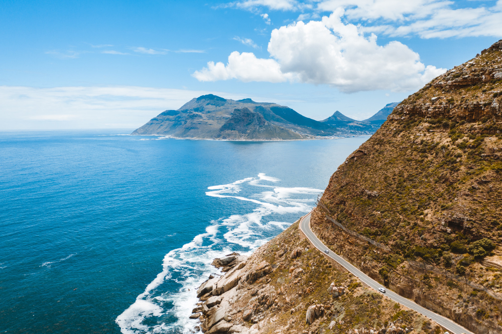 Foraging Feasts: A Culinary Adventure Along Kaikoura's Coastline