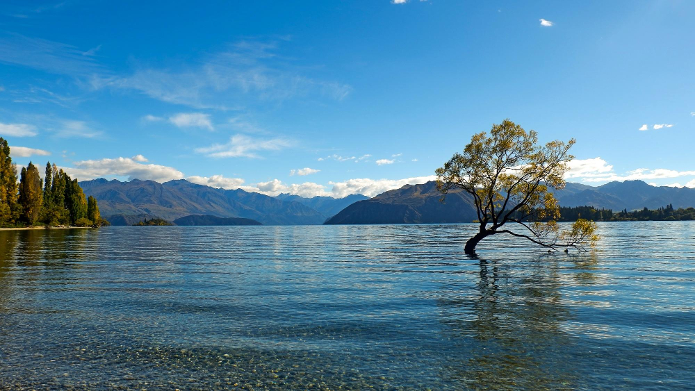 Insider Tips: How to Experience Wanaka Like a Local