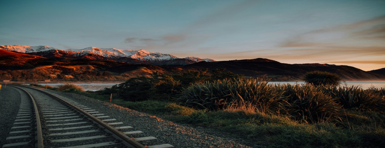 Kaikoura Travel Guide: Embracing Nature's Wonders