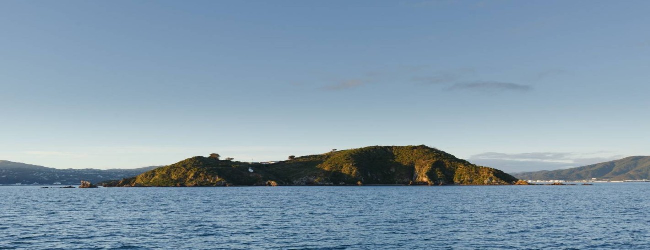 Explore Matiu/Somes Island