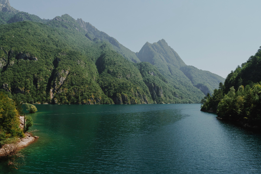 Milford Sound on a Shoestring: The Ultimate Budget-Friendly Guide