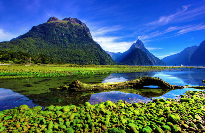 Milford Sound Through the Seasons: A Year-Round Guide for Nature Enthusiasts