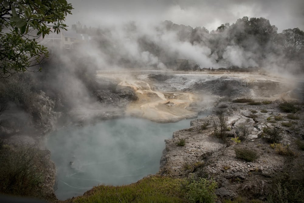 New Zealand's Living Maori Culture: An Insider's Guide