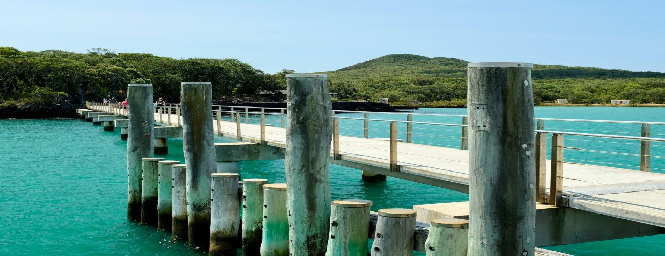 Explore Rangitoto Island