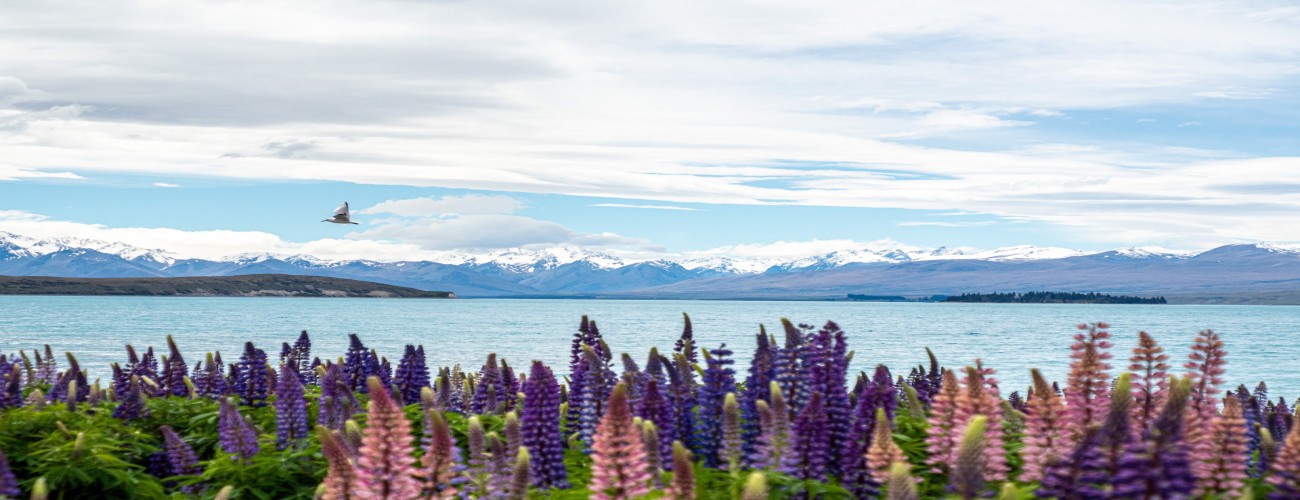 Tekapo Accomodation