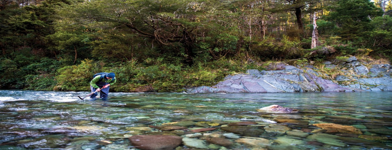 The Thrill of the Hunt: Fossil and Gemstone Locations in New Zealand