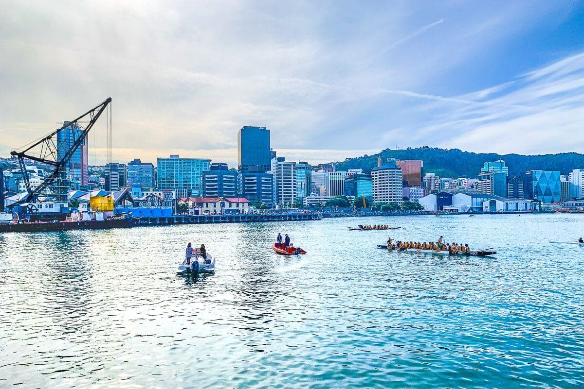 The Ultimate Guide to Wellington’s Outdoor Adventures