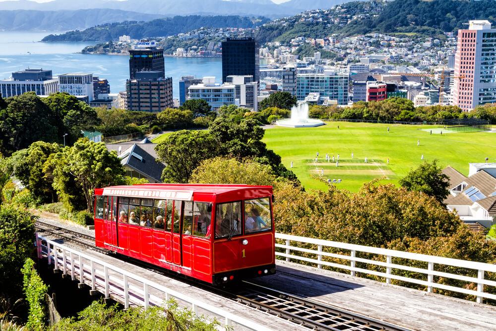 Wellington City Full Day Coach Tour: Comfort and Culture Combined