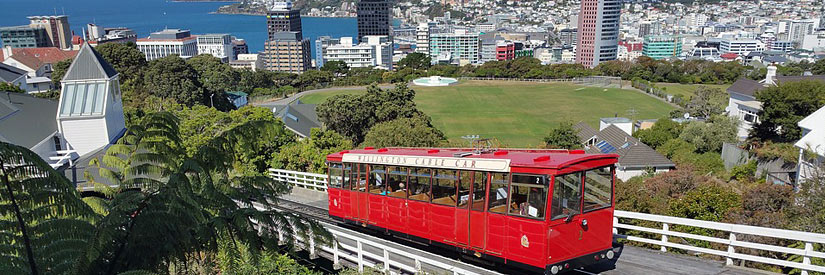 Wellington for Solo Travellers: Safe and Fun Adventures