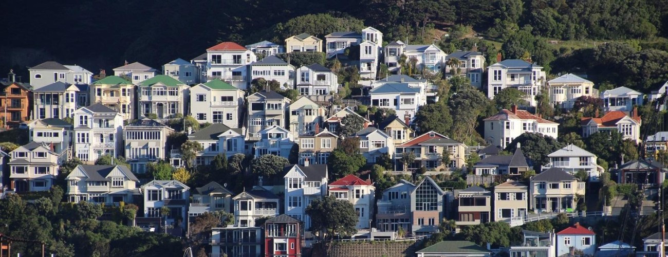 Wellington on a Budget: Affordable Activities and Attractions