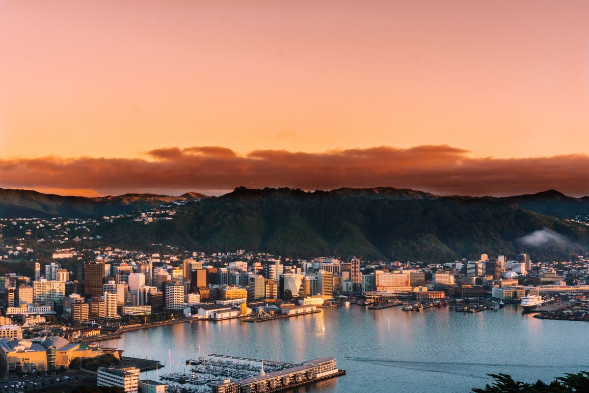 Wellington’s Best Views: Where to See the City from Above