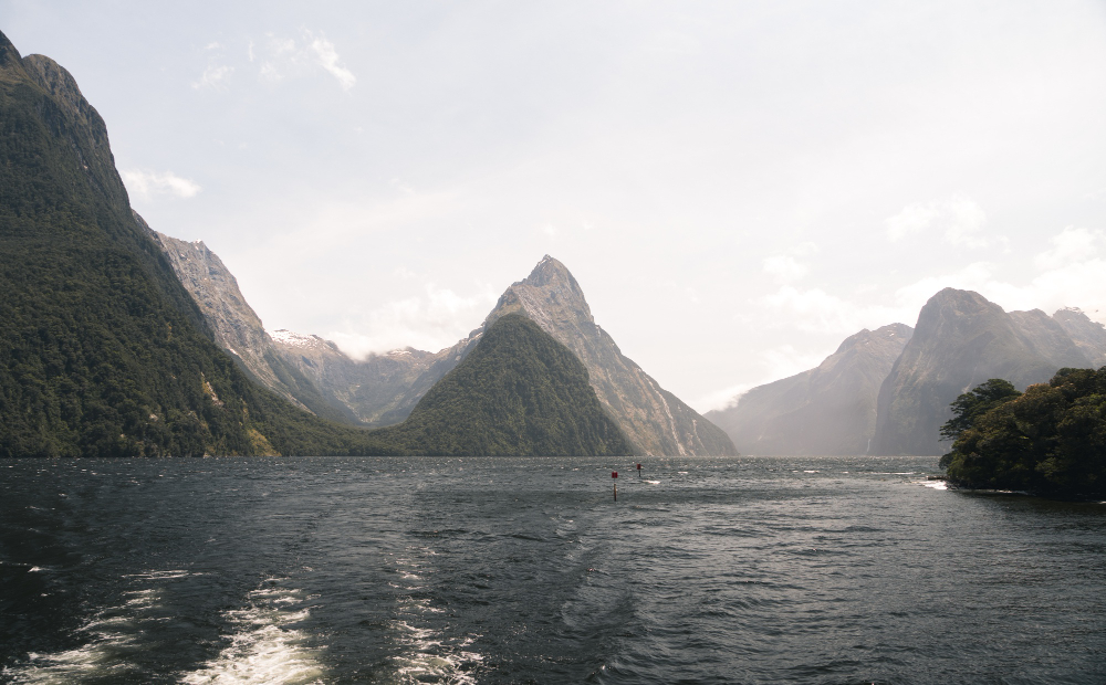 Whispers of the Fiord: A Solo Traveler's Journey Through Milford Sound